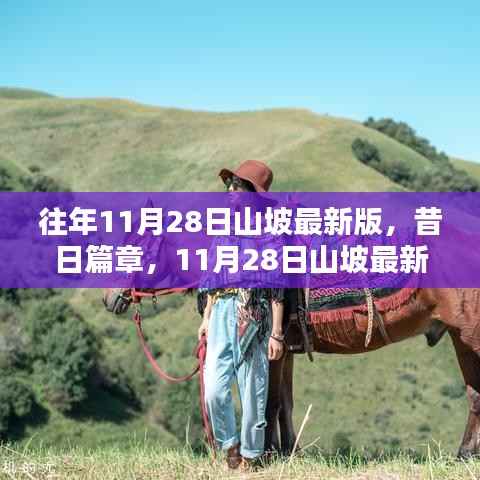 昔日篇章与时代印记,11月28日山坡最新版的变迁与回顾
