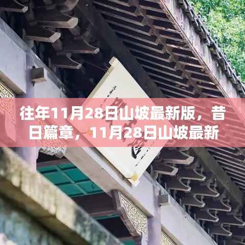 昔日篇章与时代印记,11月28日山坡最新版的变迁与回顾