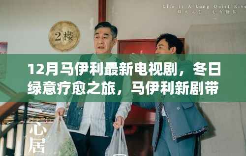 马伊利新剧冬日绿意疗愈之旅,探寻自然秘境,重拾心灵宁静