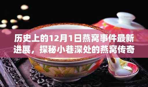 揭秘燕窝传奇,历史新篇,探寻燕窝事件最新进展的探秘之旅(12月1日)