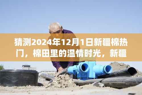 新疆棉温情时光,展望2024年棉田未来与我们的故事