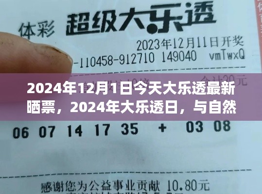大乐透晒票日与自然美景相遇,寻找内心的宁静之旅(2024年大乐透日最新晒票)