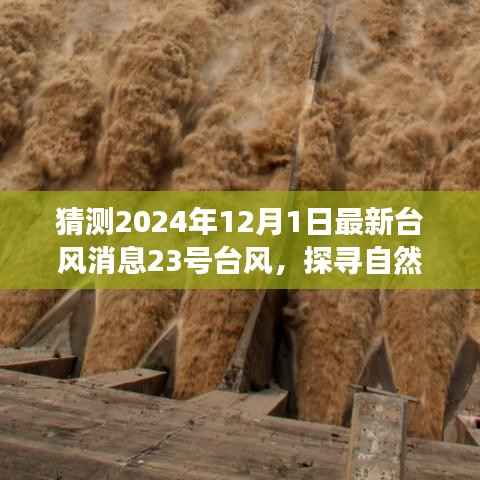 探寻自然秘境,揭秘台风嬉戏的奇妙旅行与最新台风消息预测之旅心灵深处的平静之旅