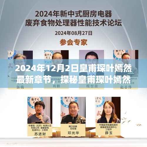 探秘皇甫琛叶嫣然故事,小巷深处的独特风情——最新章节揭晓