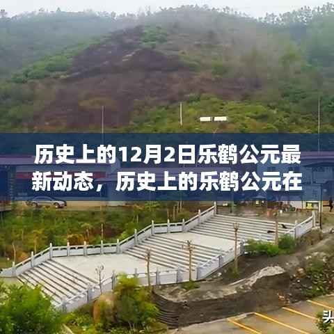深度解析,历史上的乐鹤公元在12月2日的独特印记与最新动态观察