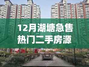 12月湖塘热门二手房源急售全景解析,最新房源信息一览