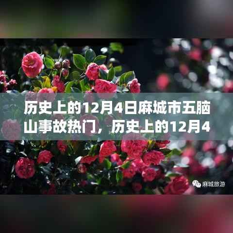 麻城市五脑山事故揭秘,历史回顾与探秘之旅