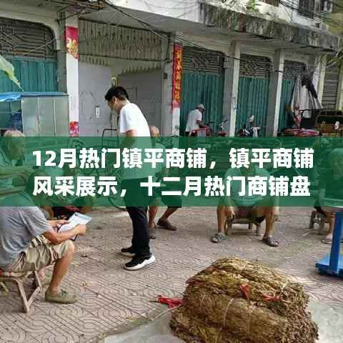 镇平商铺风采盘点,十二月热门商铺展示