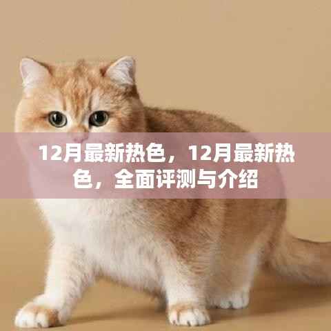 全面评测与介绍,揭秘十二月最新流行色