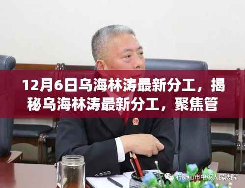 12月6日乌海林涛最新分工,揭秘乌海林涛最新分工,聚焦管理与创新的双重角色