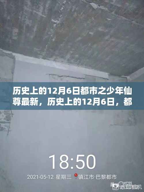 都市少年仙尊,崛起之路与历史上的12月6日纪念