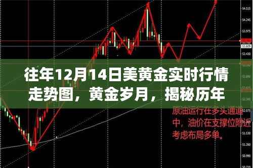 揭秘历年黄金行情走势背后的故事,十二月十四日美黄金实时行情走势图深度解析