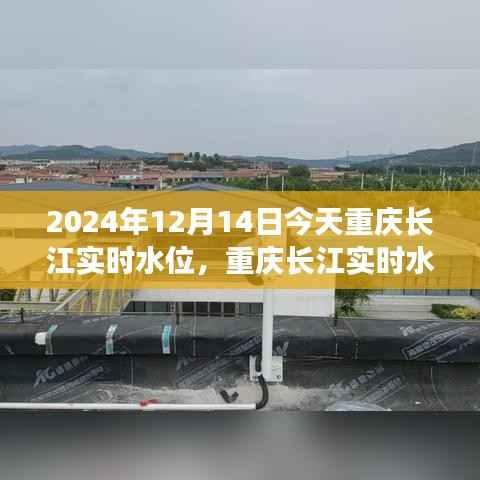 重庆长江实时水位波动下的多重视角分析,今日水位及未来趋势探讨(2024年12月14日)