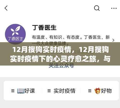 12月搜狗实时疫情下的心灵疗愈与自然美景的不解之缘之旅
