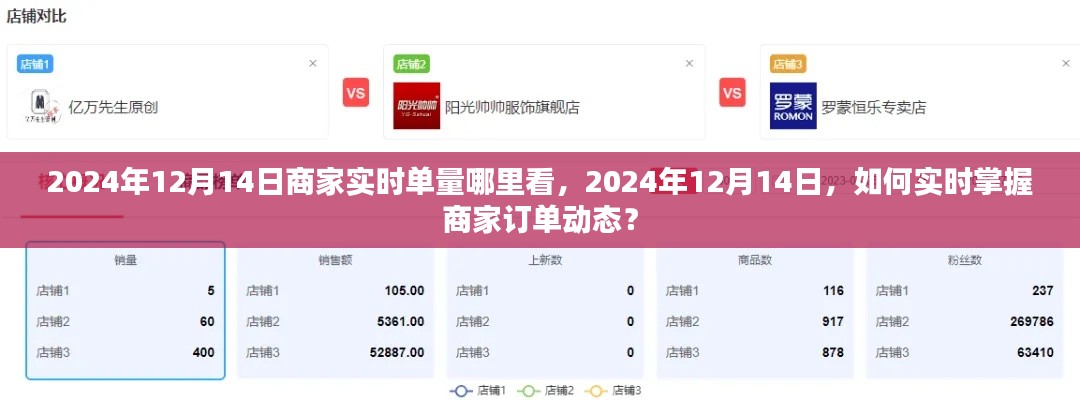 如何实时掌握商家订单动态,查看2024年12月14日商家实时单量的方法