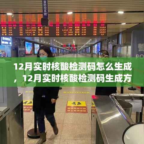 深入解析与观点阐述,12月实时核酸检测码的生成方法