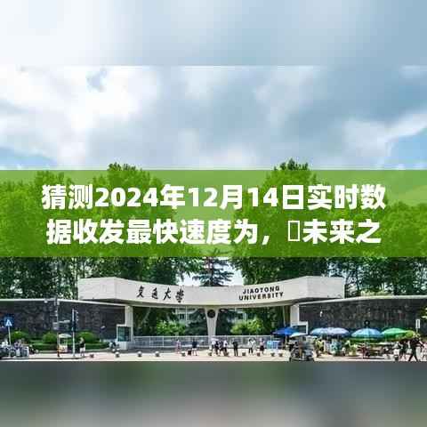 未来探索之旅,预测实时数据收发速度与探索自然美景的心灵平静之旅