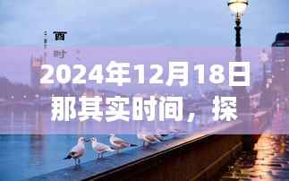 探秘小巷深处的独特时光,隐藏式特色小店非凡故事