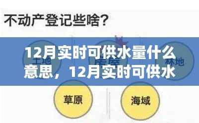 12月实时可供水量全面解读,特性、体验、竞品对比及用户群体深度分析