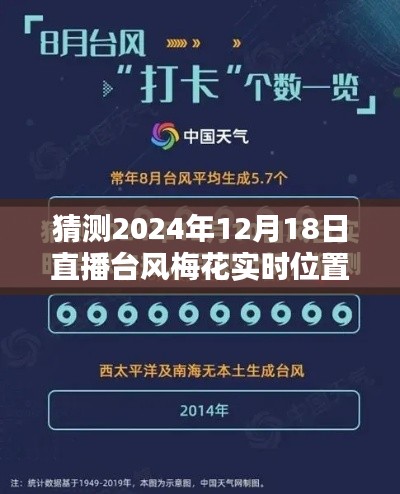 直播台风梅花探秘小巷美食,预测美味邂逅与台风实时位置