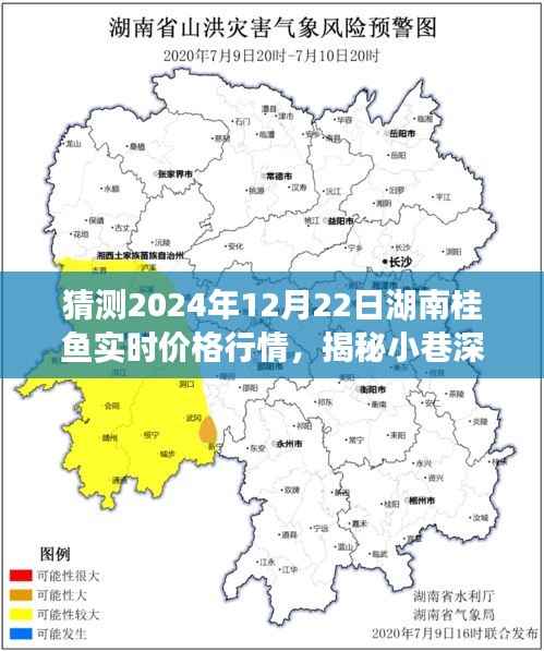 揭秘湖南桂鱼行情预测,探寻小巷深处的桂鱼秘境,预测湖南桂鱼在2024年12月22日的神秘价格走势分析