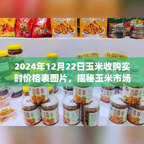 揭秘玉米市场风云,2024年12月22日玉米收购实时价格表解读及图片展示