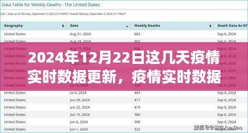 2024年12月22日疫情实时数据更新指南,获取与解读疫情信息的全面指南