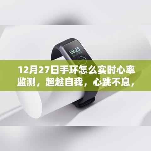 超越自我,心跳不息,手环实时心率监测的励志之旅——12月27日的自我挑战与成长之路