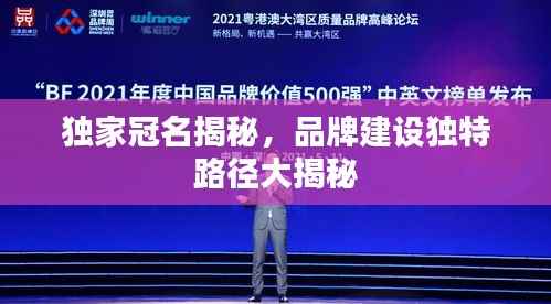 独家冠名揭秘,品牌建设独特路径大揭秘