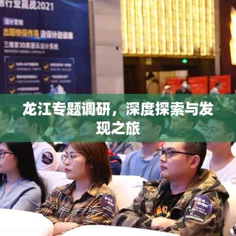 龙江专题调研,深度探索与发现之旅