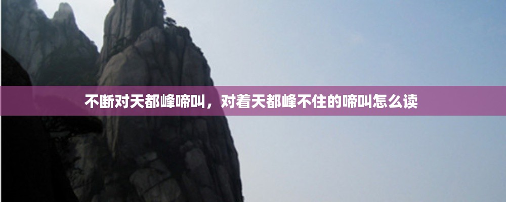 不断对天都峰啼叫,对着天都峰不住的啼叫怎么读