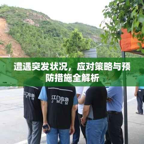 遭遇突发状况,应对策略与预防措施全解析