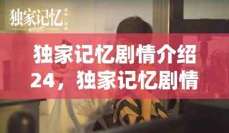 独家记忆剧情介绍24,独家记忆剧情介绍