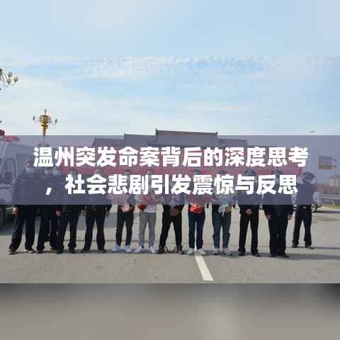 温州突发命案背后的深度思考,社会悲剧引发震惊与反思