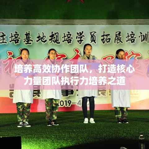 培养高效协作团队,打造核心力量团队执行力培养之道