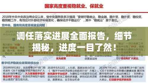 调任落实进展全面报告,细节揭秘,进度一目了然!