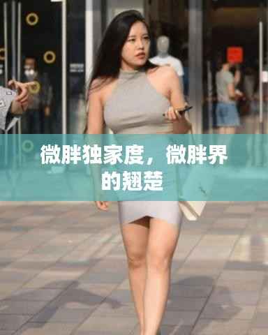 微胖独家度,微胖界的翘楚