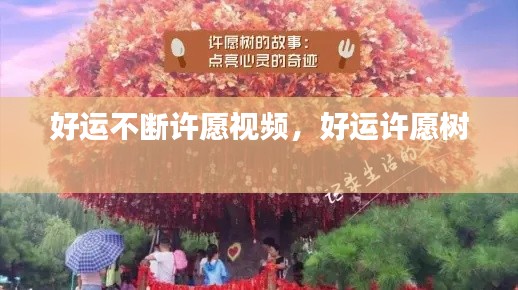 好运不断许愿视频,好运许愿树