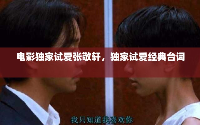 电影独家试爱张敬轩,独家试爱经典台词