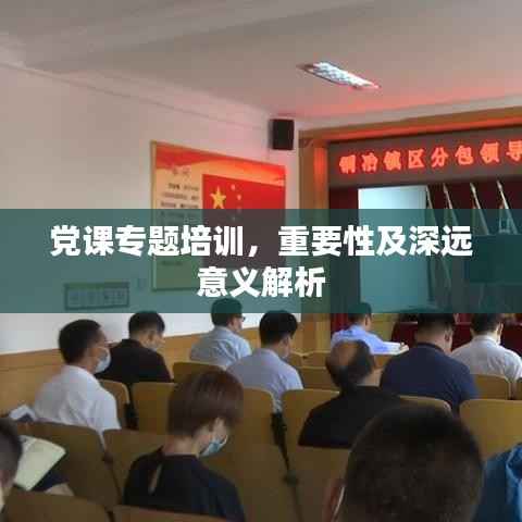 党课专题培训,重要性及深远意义解析
