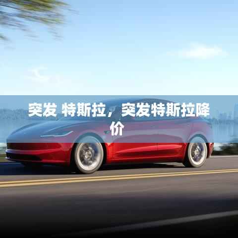 突发 特斯拉,突发特斯拉降价