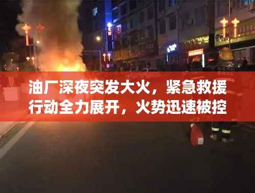 鸟骇鼠窜 第3页