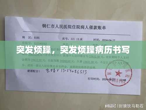 突发烦躁,突发烦躁病历书写