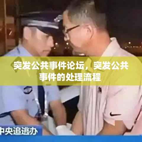 突发公共事件论坛,突发公共事件的处理流程