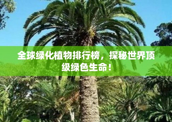 全球绿化植物排行榜,探秘世界顶级绿色生命!
