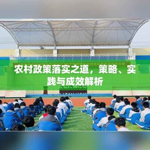 农村政策落实之道,策略、实践与成效解析