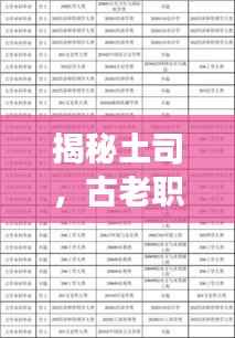 揭秘土司,古老职位的百度解读概览