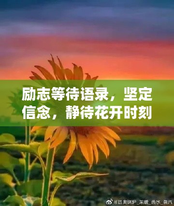 励志等待语录,坚定信念,静待花开时刻