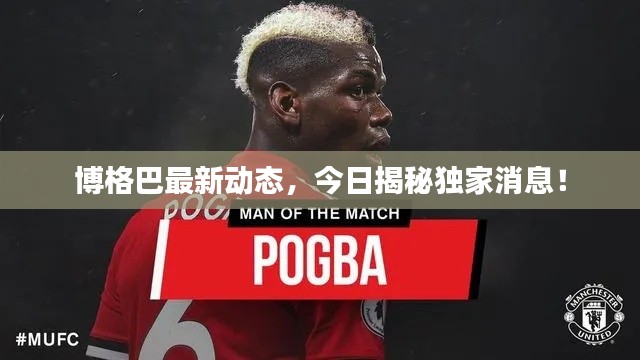 博格巴最新动态,今日揭秘独家消息!