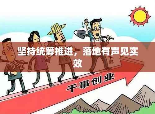 坚持统筹推进,落地有声见实效